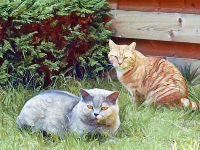 Portraits: British Shorthair Cat  –  Cavalier King Charles Spaniel